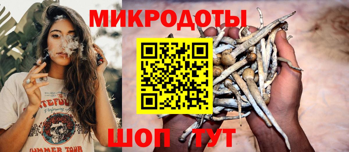 Галлюциногенные грибы GOLDEN TEACHER  Вход с VPN  Ковров 