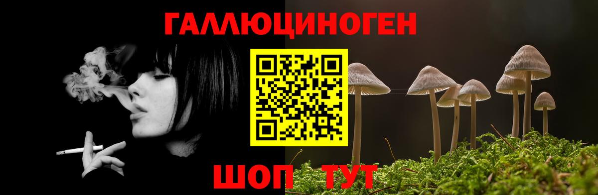 Галлюциногенные грибы мицелий Ковров